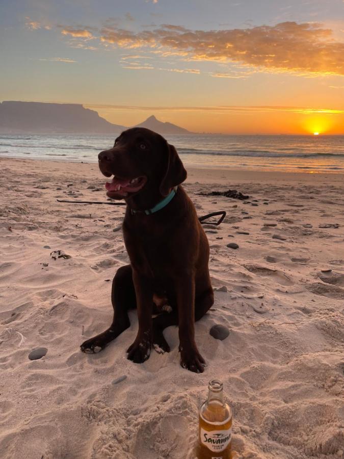 Sunset Beach Holiday Accommodation Cape Town Bagian luar foto