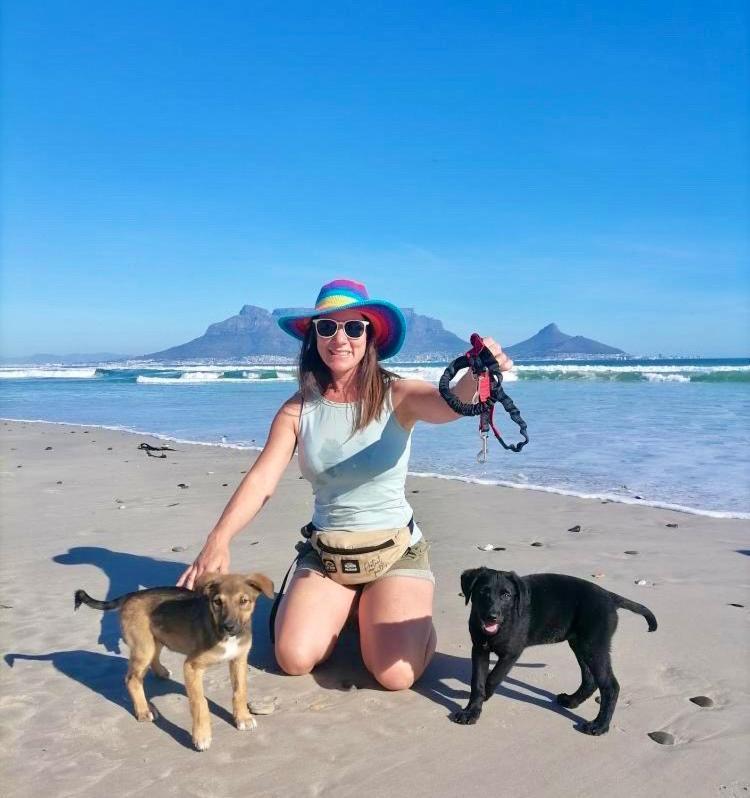 Sunset Beach Holiday Accommodation Cape Town Bagian luar foto